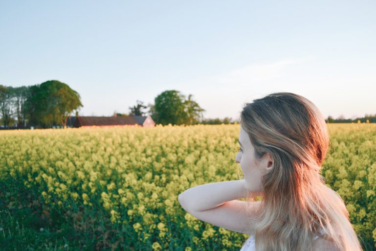 champs-de-colza-rapeseed-fields-17