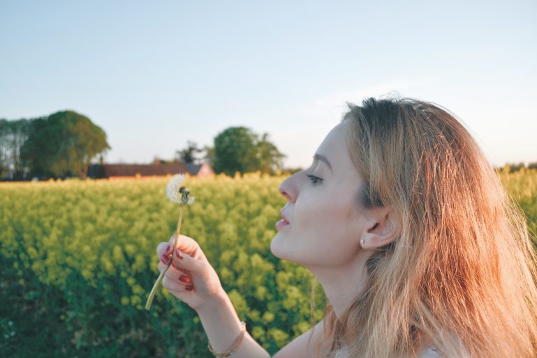 champs-de-colza-rapeseed-fields-18