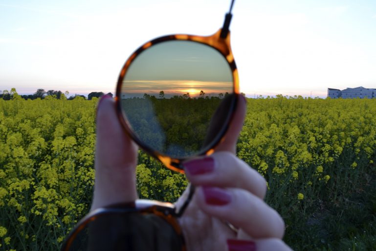 champs-de-colza-rapeseed-fields-26