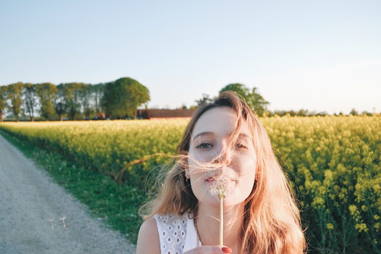 champs-de-colza-rapeseed-fields-7