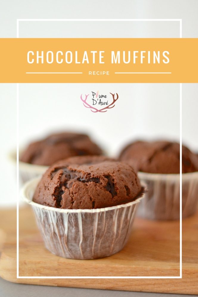 chocolate muffins recipe