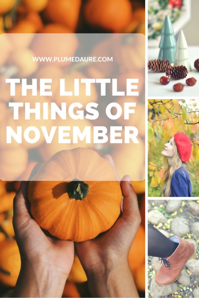 The little things of November : good discoveries, souvenirs... find them here!