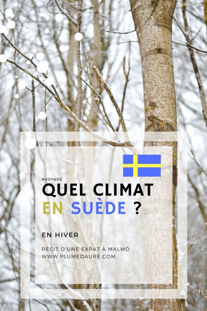 Une question que l'on me pose souvent : quel climat fait-il en Suède ? La neige, les paysages tout blancs de rêve, un mythe ou une réalité ? Je vous en parle en détails dans cet article météo swedish ! Par ici !