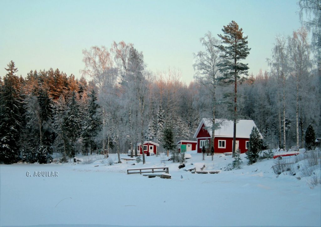 Expatriation Sweden : swedish life starts now