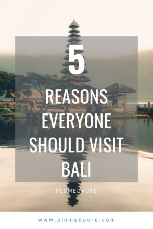 5 reasons everyone needs to visit Bali – Plumedaure