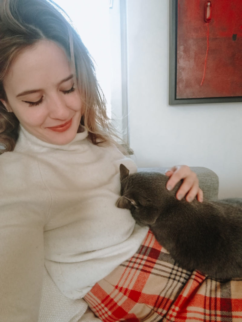 10 reasons why you should get a cat Plumedaure