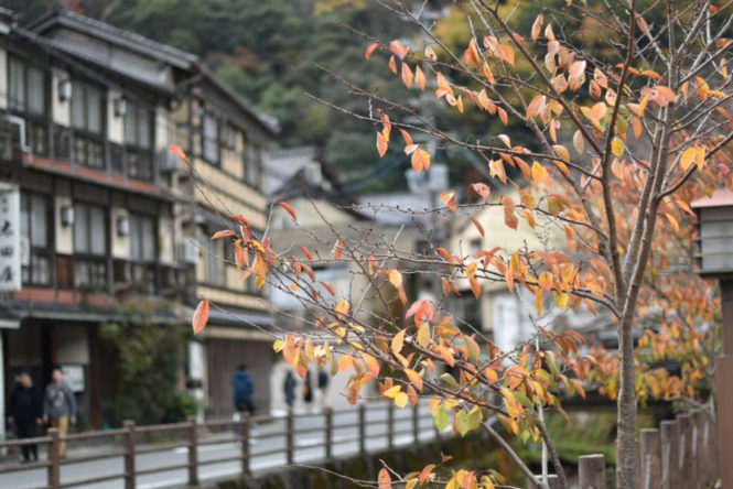 Kinosaki Onsen : un village de sources chaudes au Japon