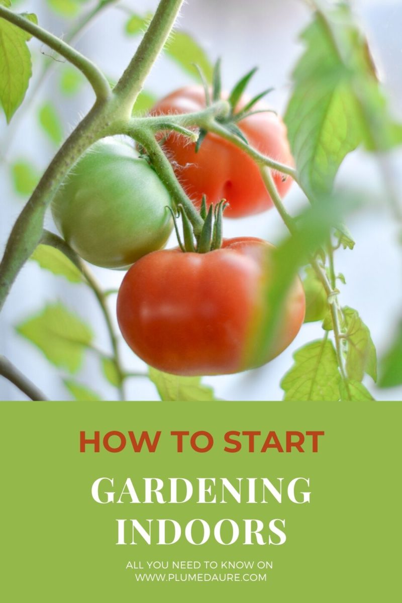 download gardening indoors for free