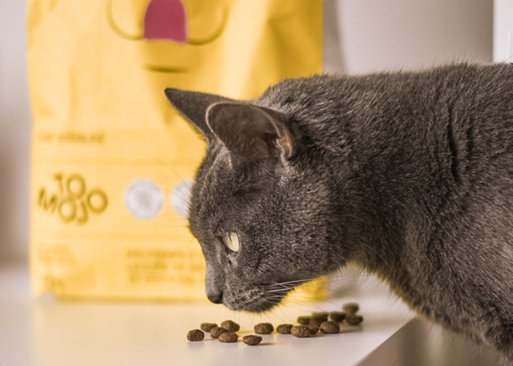 Des croquettes saines pour chat et chien et pour l’environnement