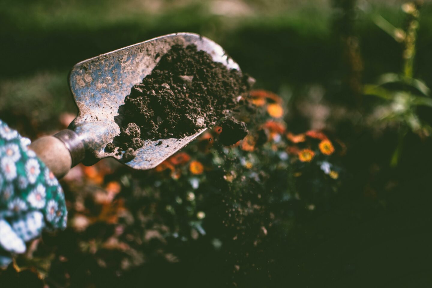 Comment planifier son jardin au fil des saisons