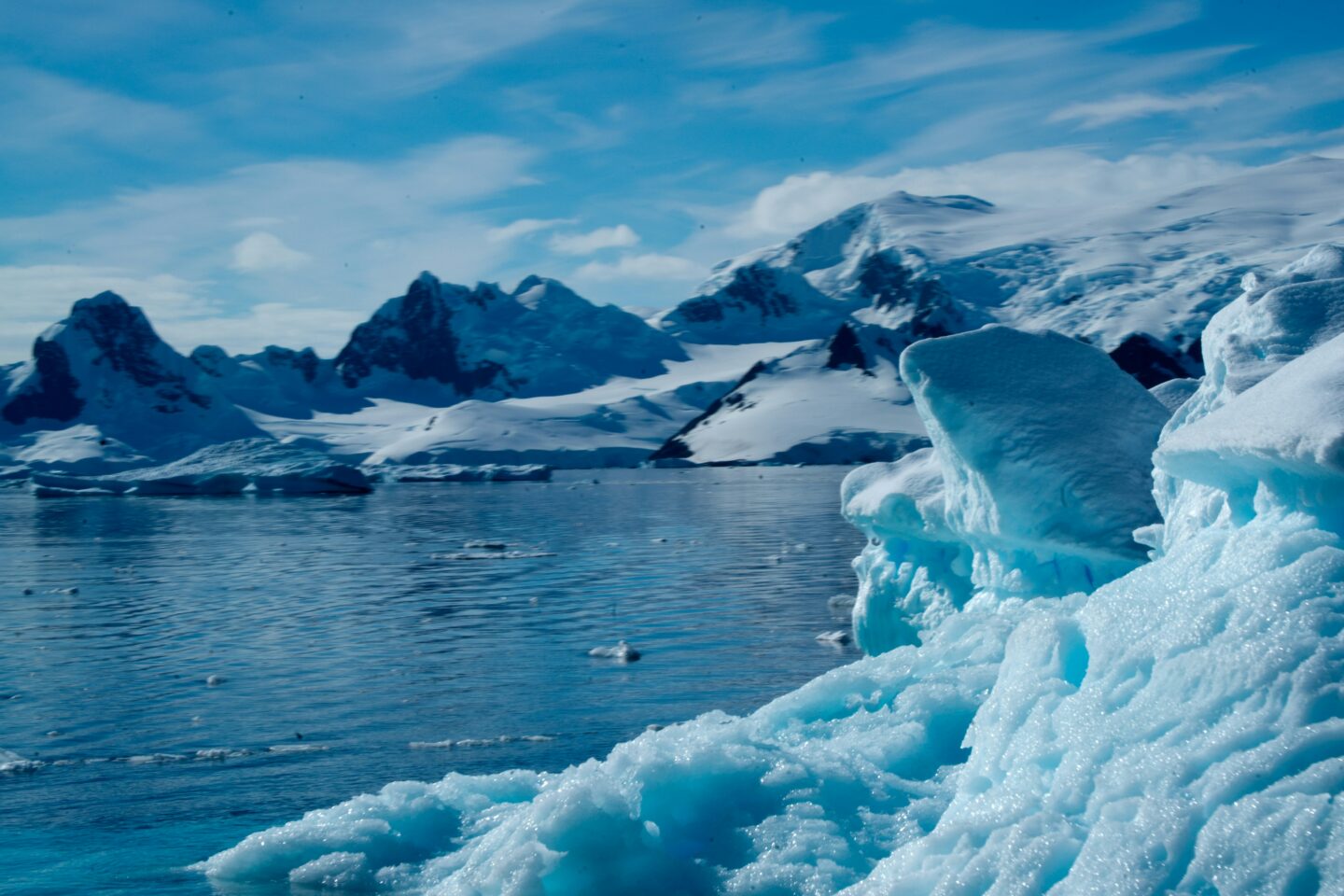 Top eco-travel destinations for responsible wildlife travellers
